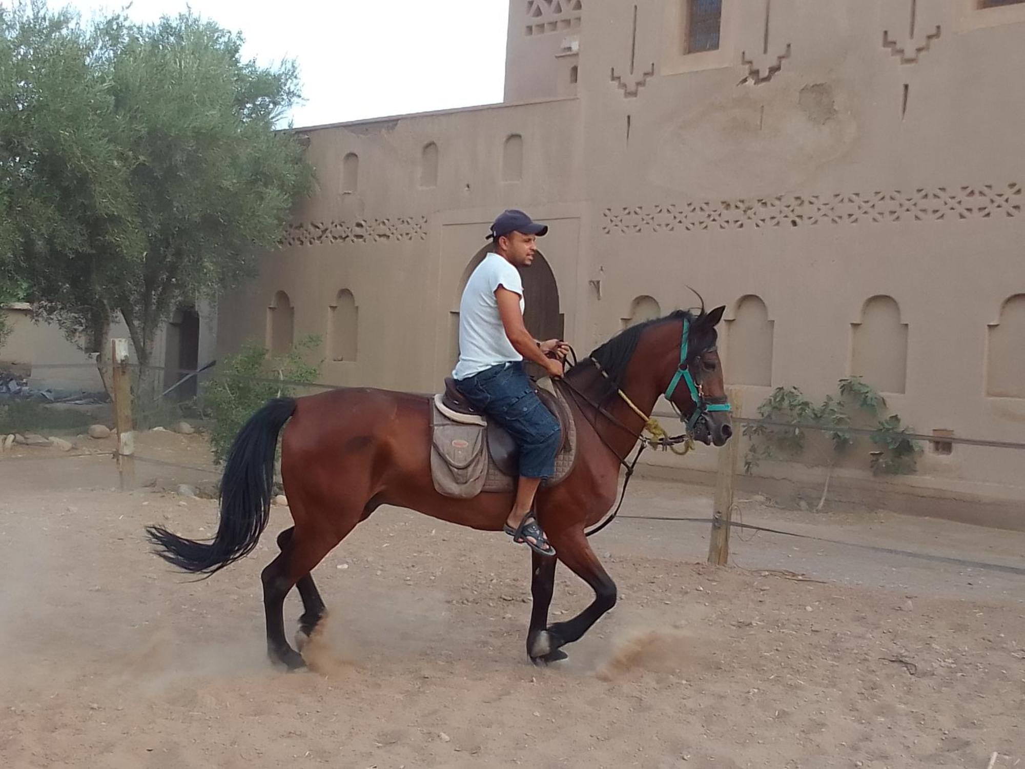 Hotel Kasbah Dar Dmana Skoura Exteriér fotografie